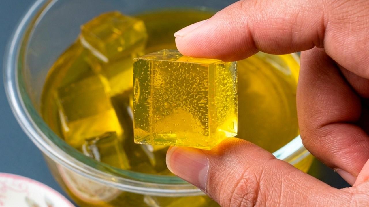 Horse Gelatin Trick Recipe: What Social Media Doesn’t Tell You