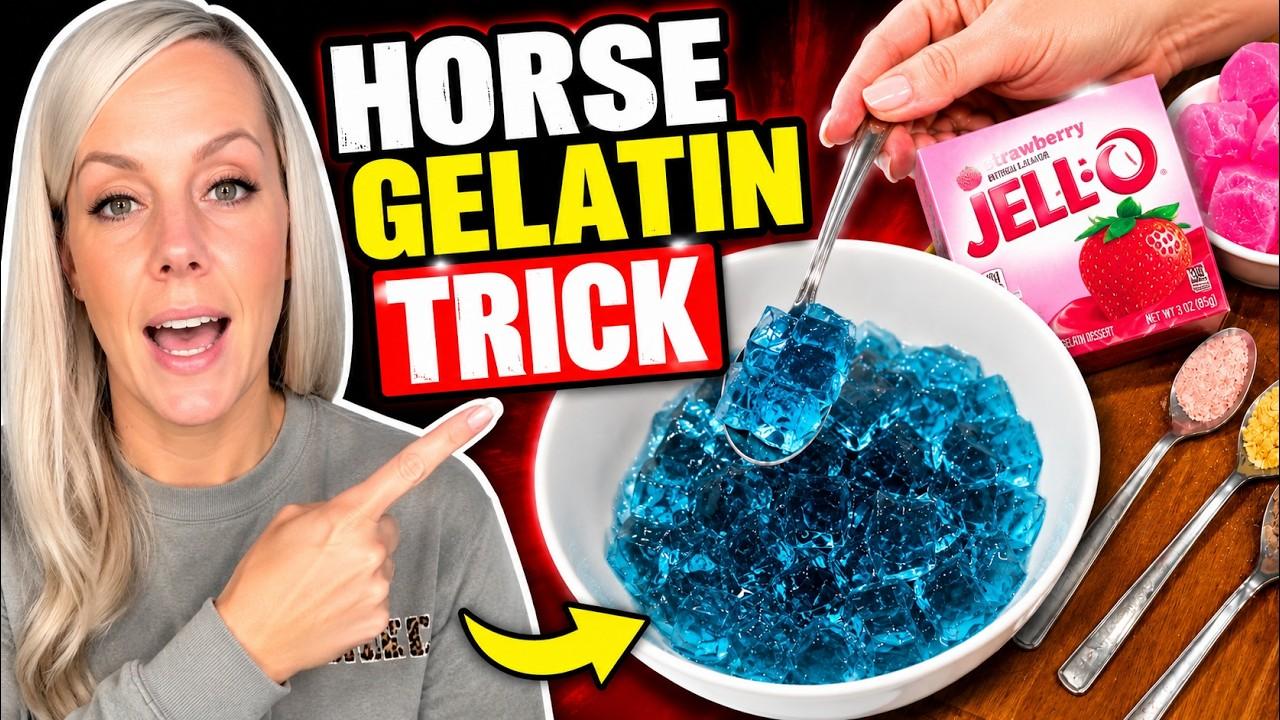 Horse Gelatin: Complete Guide To Benefits, Uses And Safety
