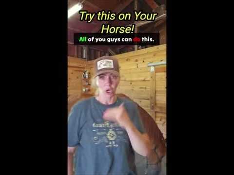Horse Gelatin Recipe: Why This Viral Hack Keeps Returning